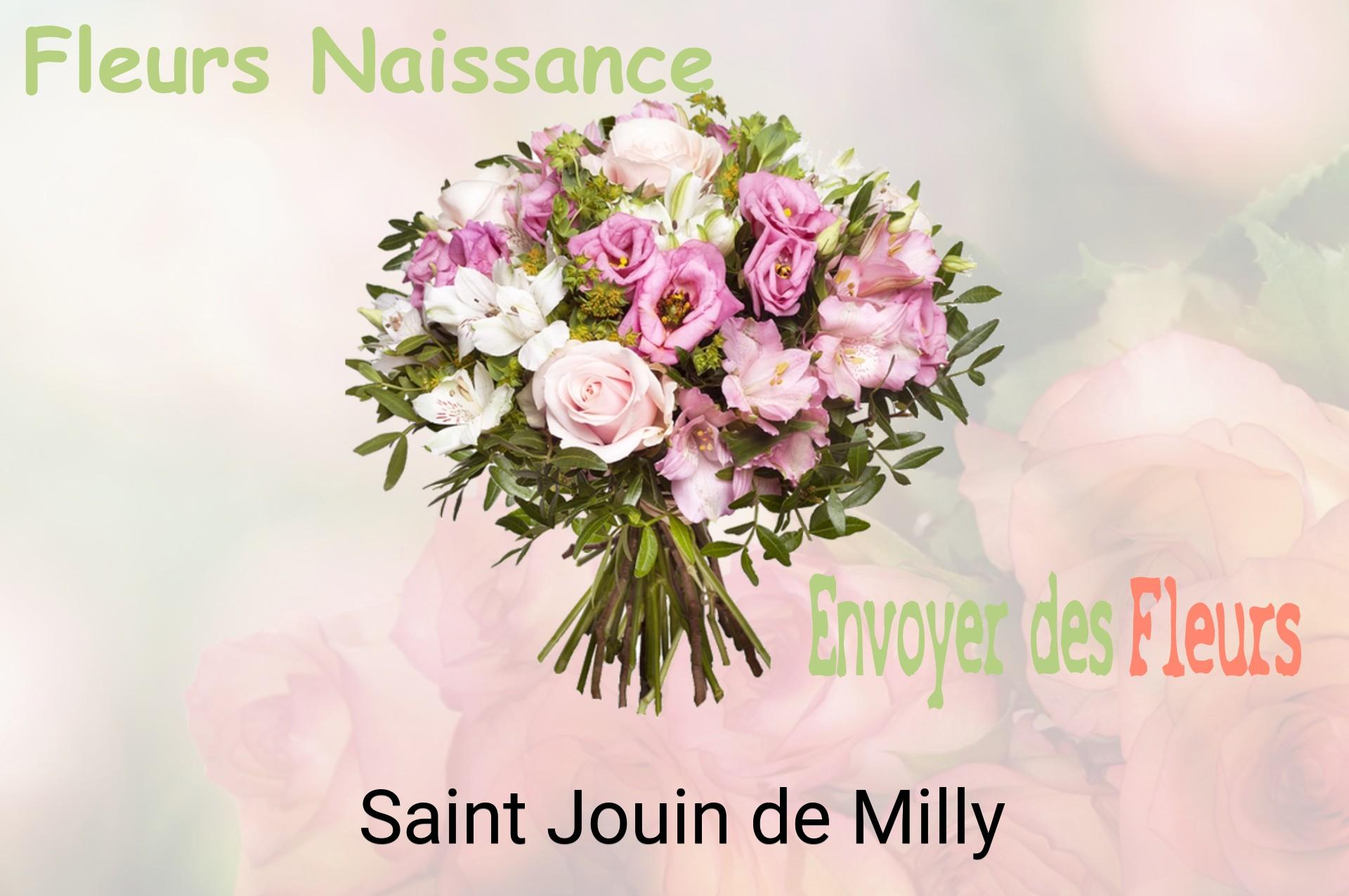 Bouquet de fleurs de naissance livré à Saint-Jouin-de-Milly