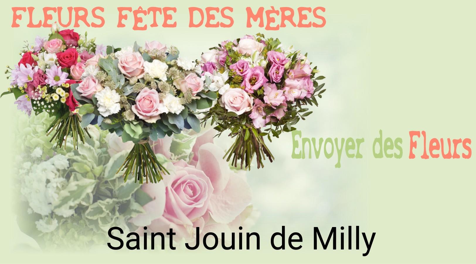 Bouquet de Fête des Mères livré à Saint-Jouin-de-Milly